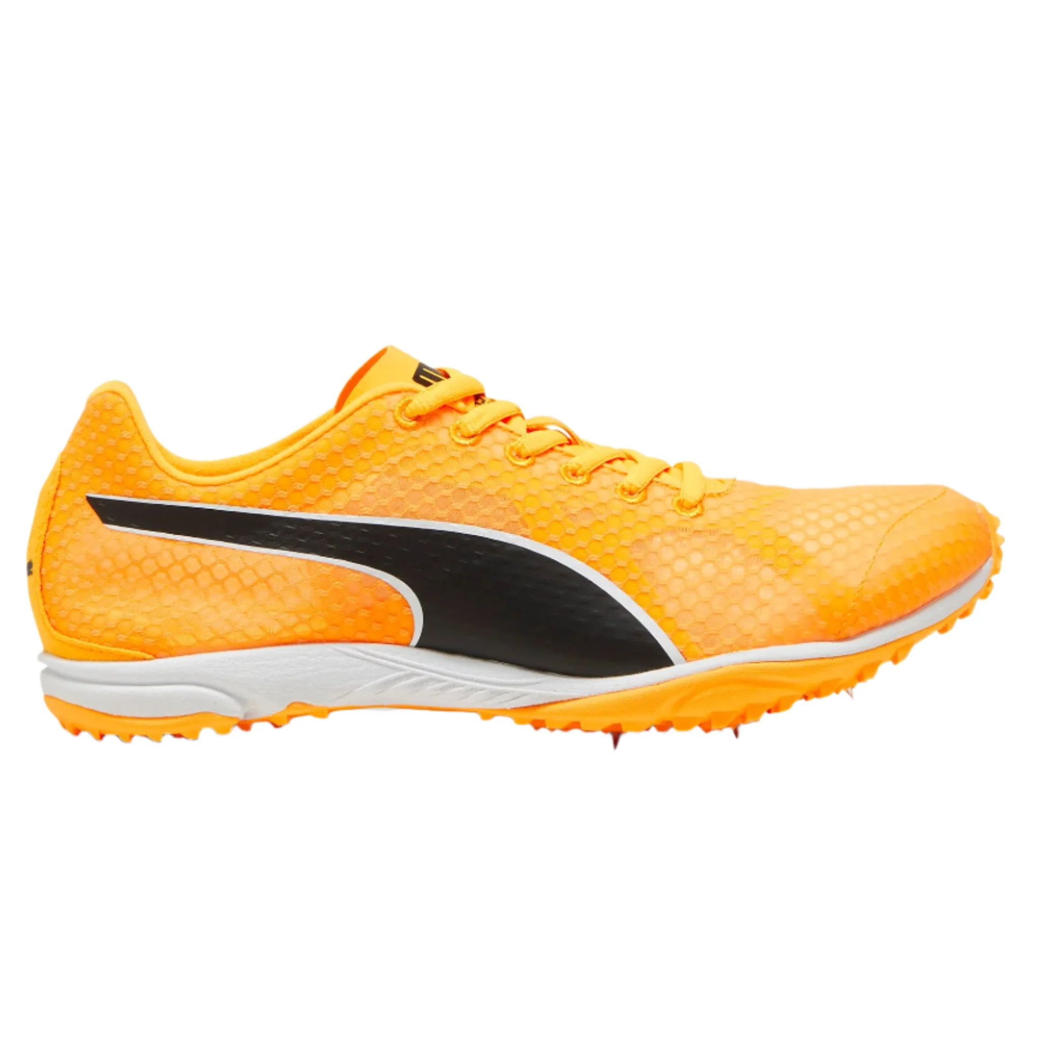 Puma evoSPEED Haraka 8 Cross Country Spikes - Sun Stream/Puma Black/Puma White